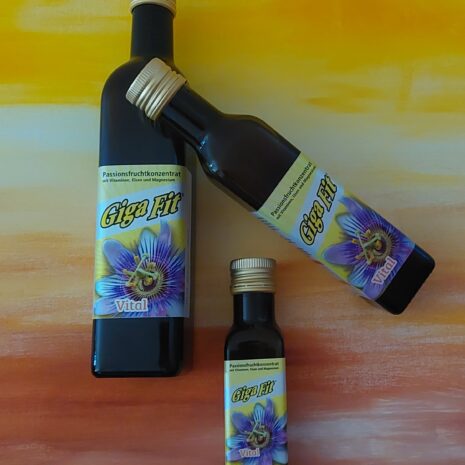 GigaFit Verspielt 3 Grössen 100ml, 250ml und 500ml